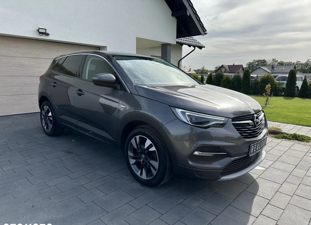 Opel Grandland X cena 65900 przebieg: 177345, rok produkcji 2019 z Nysa małe 781